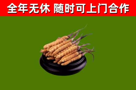 惠水烟酒回收冬虫夏草.jpg