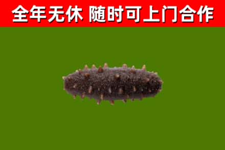 惠水烟酒回收干海参.jpg