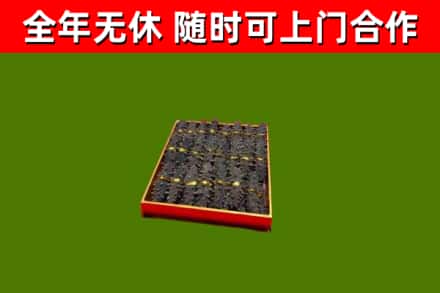 惠水回收海参